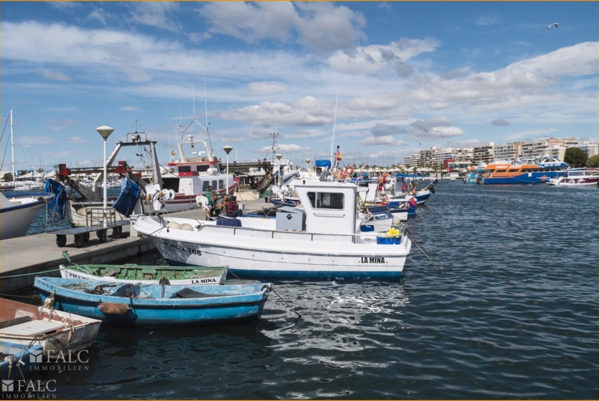 C9_Amara_Gran Alacant_Puerto pesquero